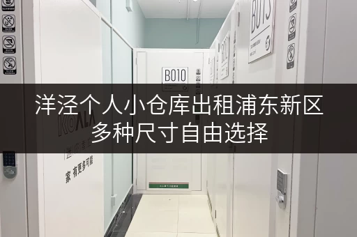 洋泾个人小仓库出租浦东新区多种尺寸自由选择