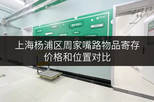 上海杨浦区周家嘴路物品寄存价格和位置对比