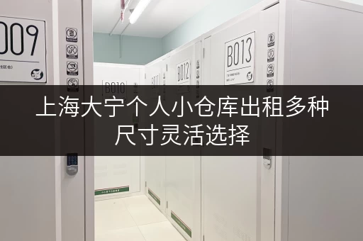 上海大宁个人小仓库出租多种尺寸灵活选择