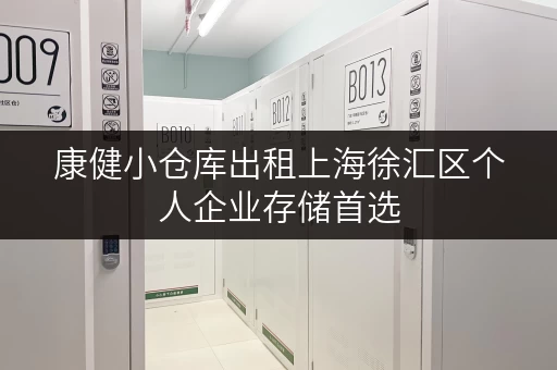 康健小仓库出租上海徐汇区个人企业存储首选