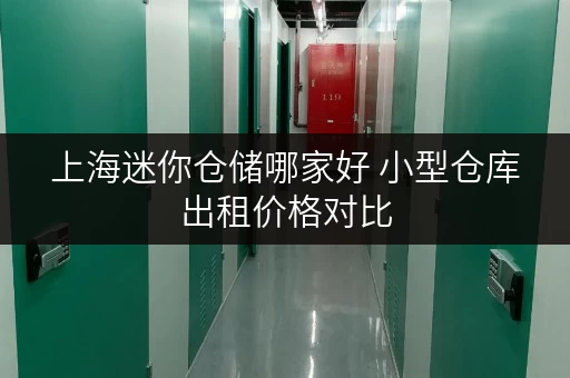 上海迷你仓储哪家好 小型仓库出租价格对比