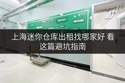 上海迷你仓库出租找哪家好 看这篇避坑指南