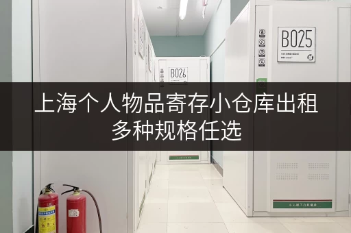上海个人物品寄存小仓库出租多种规格任选