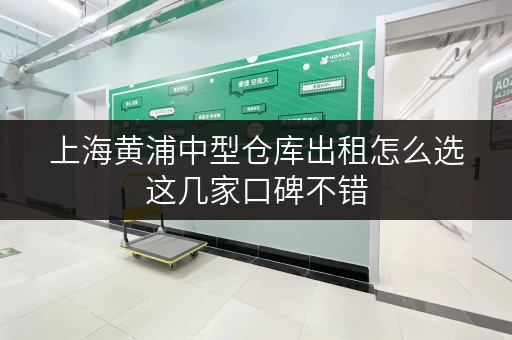 上海黄浦中型仓库出租怎么选这几家口碑不错