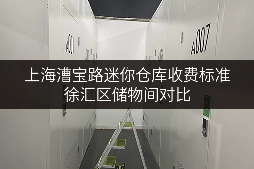 上海漕宝路迷你仓库收费标准徐汇区储物间对比