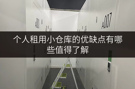 个人租用小仓库的优缺点有哪些值得了解