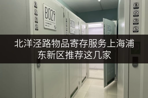 北洋泾路物品寄存服务上海浦东新区推荐这几家
