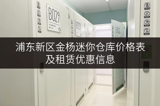 浦东新区金杨迷你仓库价格表及租赁优惠信息