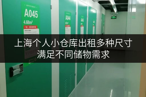 上海个人小仓库出租多种尺寸满足不同储物需求