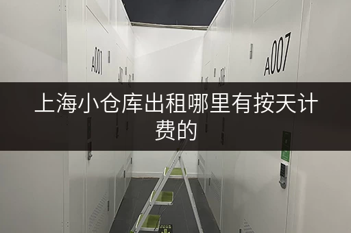上海小仓库出租哪里有按天计费的