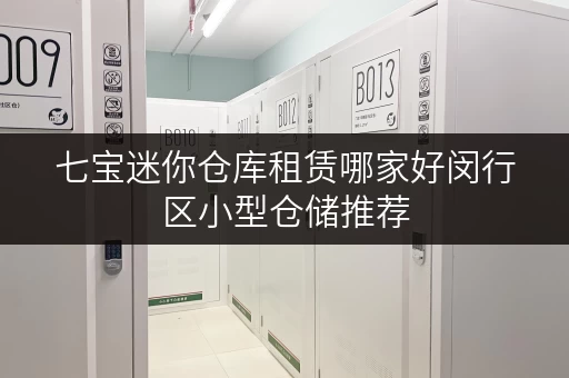 七宝迷你仓库租赁哪家好闵行区小型仓储推荐