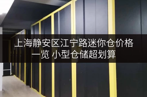 上海静安区江宁路迷你仓价格一览 小型仓储超划算