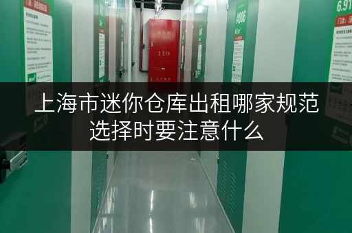 上海市迷你仓库出租哪家规范选择时要注意什么