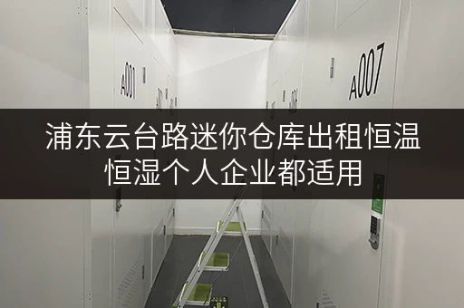 浦东云台路迷你仓库出租恒温恒湿个人企业都适用