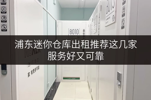 浦东迷你仓库出租推荐这几家服务好又可靠