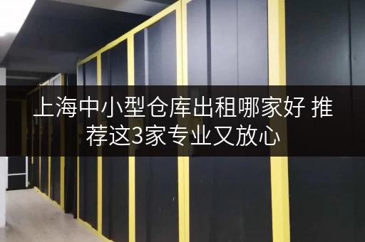 上海中小型仓库出租哪家好 推荐这3家专业又放心