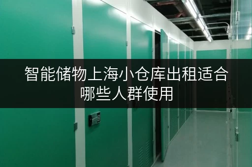 智能储物上海小仓库出租适合哪些人群使用