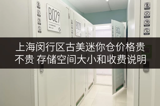 上海闵行区古美迷你仓价格贵不贵 存储空间大小和收费说明