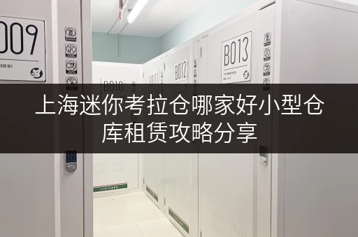 上海迷你考拉仓哪家好小型仓库租赁攻略分享