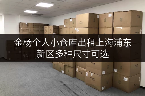 金杨个人小仓库出租上海浦东新区多种尺寸可选