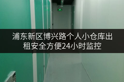 浦东新区博兴路个人小仓库出租安全方便24小时监控 浦东新区博兴路个人小仓库出租安全方便24小时监控