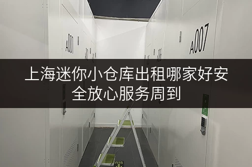 上海迷你小仓库出租哪家好安全放心服务周到 上海迷你小仓库出租哪家好安全放心服务周到