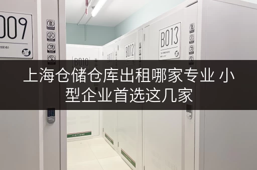 上海仓储仓库出租哪家专业 小型企业首选这几家