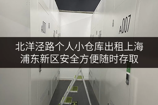 北洋泾路个人小仓库出租上海浦东新区安全方便随时存取 北洋泾路个人小仓库出租上海浦东新区安全方便随时存取