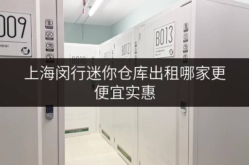 上海闵行迷你仓库出租哪家更便宜实惠