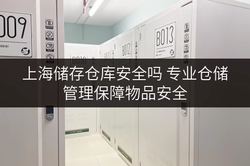 上海储存仓库安全吗 专业仓储管理保障物品安全