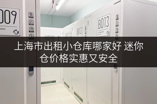 上海市出租小仓库哪家好 迷你仓价格实惠又安全