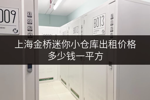 上海金桥迷你小仓库出租价格多少钱一平方