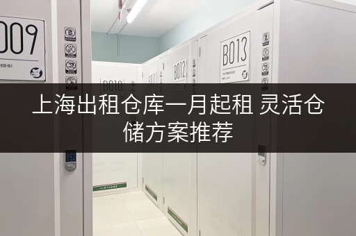 上海出租仓库一月起租 灵活仓储方案推荐