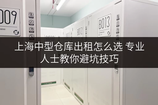 上海中型仓库出租怎么选 专业人士教你避坑技巧