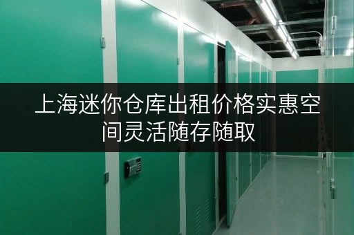 上海迷你仓库出租价格实惠空间灵活随存随取