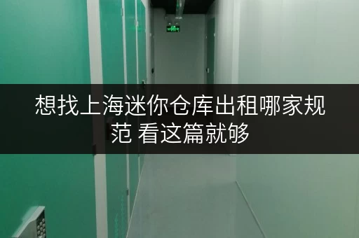 想找上海迷你仓库出租哪家规范 看这篇就够