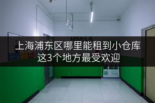 上海浦东区哪里能租到小仓库 这3个地方最受欢迎 上海浦东区哪里能租到小仓库 这3个地方最受欢迎