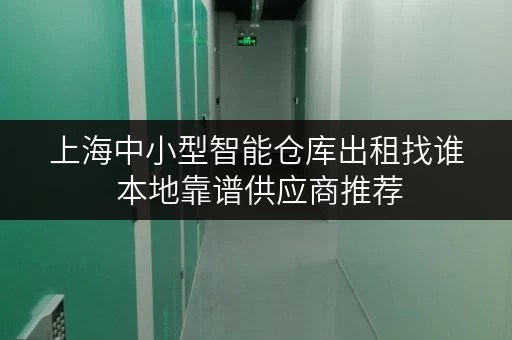 上海中小型智能仓库出租找谁 本地靠谱供应商推荐 上海中小型智能仓库出租找谁 本地靠谱供应商推荐