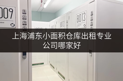 上海浦东小面积仓库出租专业公司哪家好 上海浦东小面积仓库出租专业公司哪家好