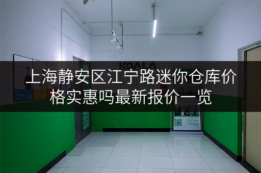 上海静安区江宁路迷你仓库价格实惠吗最新报价一览