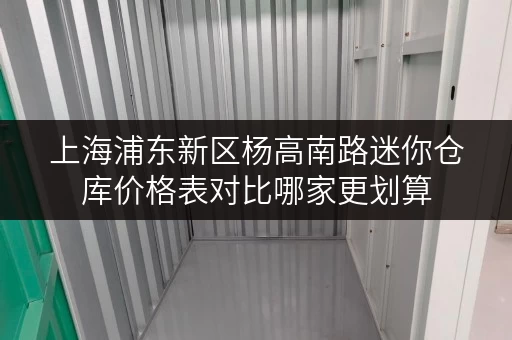 上海浦东新区杨高南路迷你仓库价格表对比哪家更划算