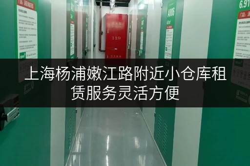 上海杨浦嫩江路附近小仓库租赁服务灵活方便