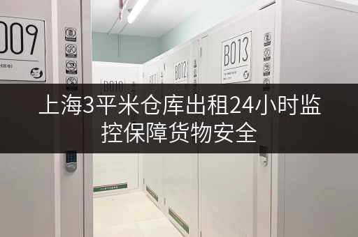 上海3平米仓库出租24小时监控保障货物安全 上海3平米仓库出租24小时监控保障货物安全