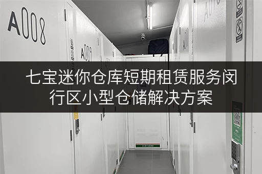 七宝迷你仓库短期租赁服务闵行区小型仓储解决方案