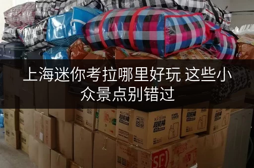 上海迷你考拉哪里好玩 这些小众景点别错过 上海迷你考拉哪里好玩 这些小众景点别错过