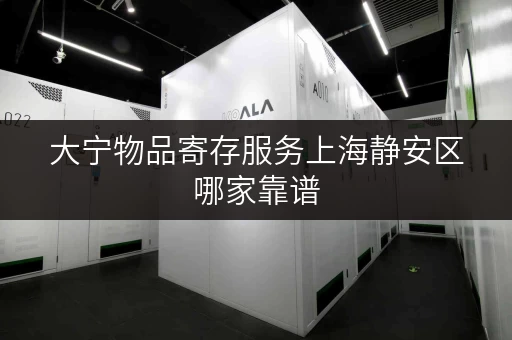 大宁物品寄存服务上海静安区哪家靠谱