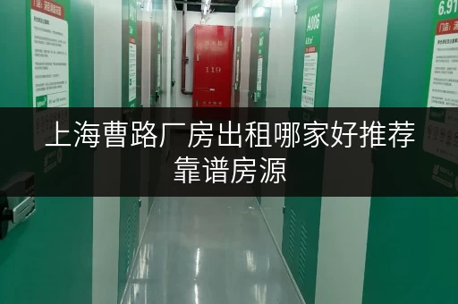 上海曹路厂房出租哪家好推荐靠谱房源