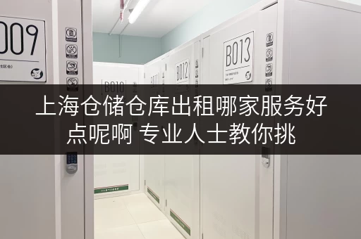 上海仓储仓库出租哪家服务好点呢啊 专业人士教你挑