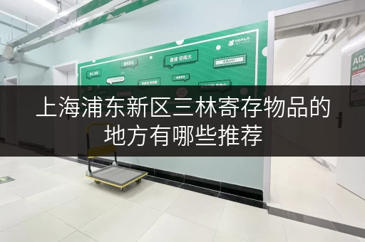 上海浦东新区三林寄存物品的地方有哪些推荐