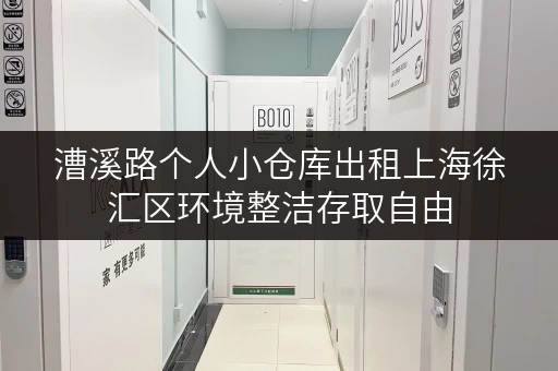漕溪路个人小仓库出租上海徐汇区环境整洁存取自由